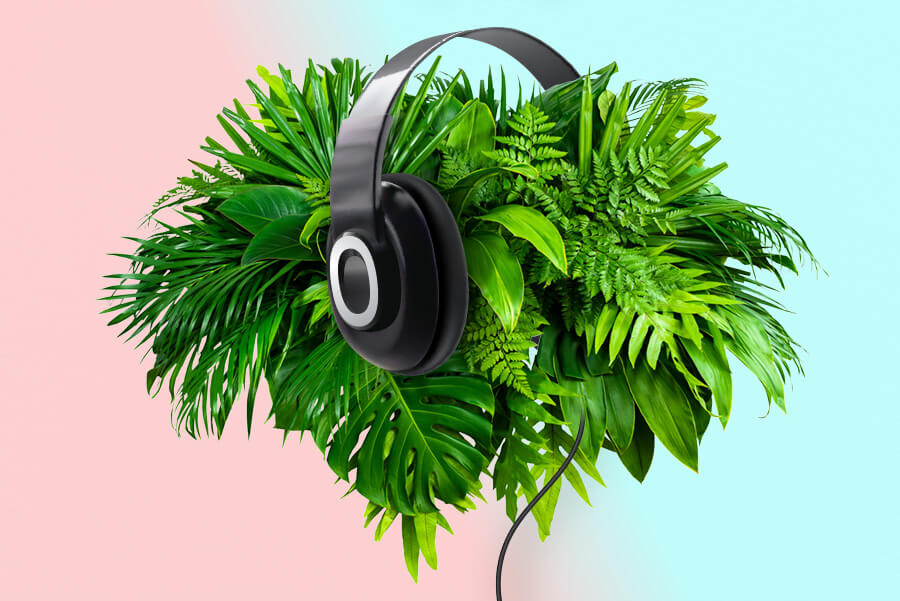 impacts of music on plants