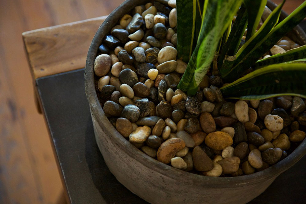 stone on pots for plants