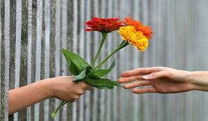 The effect of giving flowers to men