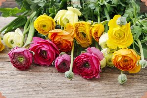 تاثیرات گل هدیه دادن به دیگران