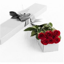 6 Red Roses in a Box a3295