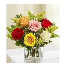 Mix Color Roses In A Cube Vase a5029