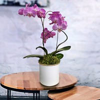Purple orchid gift vase design 11